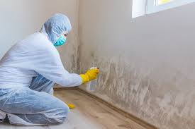 Four Corners, OR Mold Removal & Remediation Company