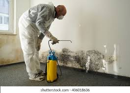 Mold Remediation for Rental Properties in Four Corners, OR